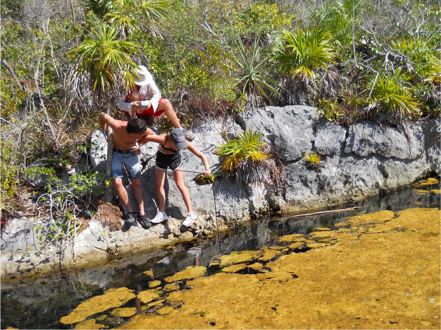 fieldwork