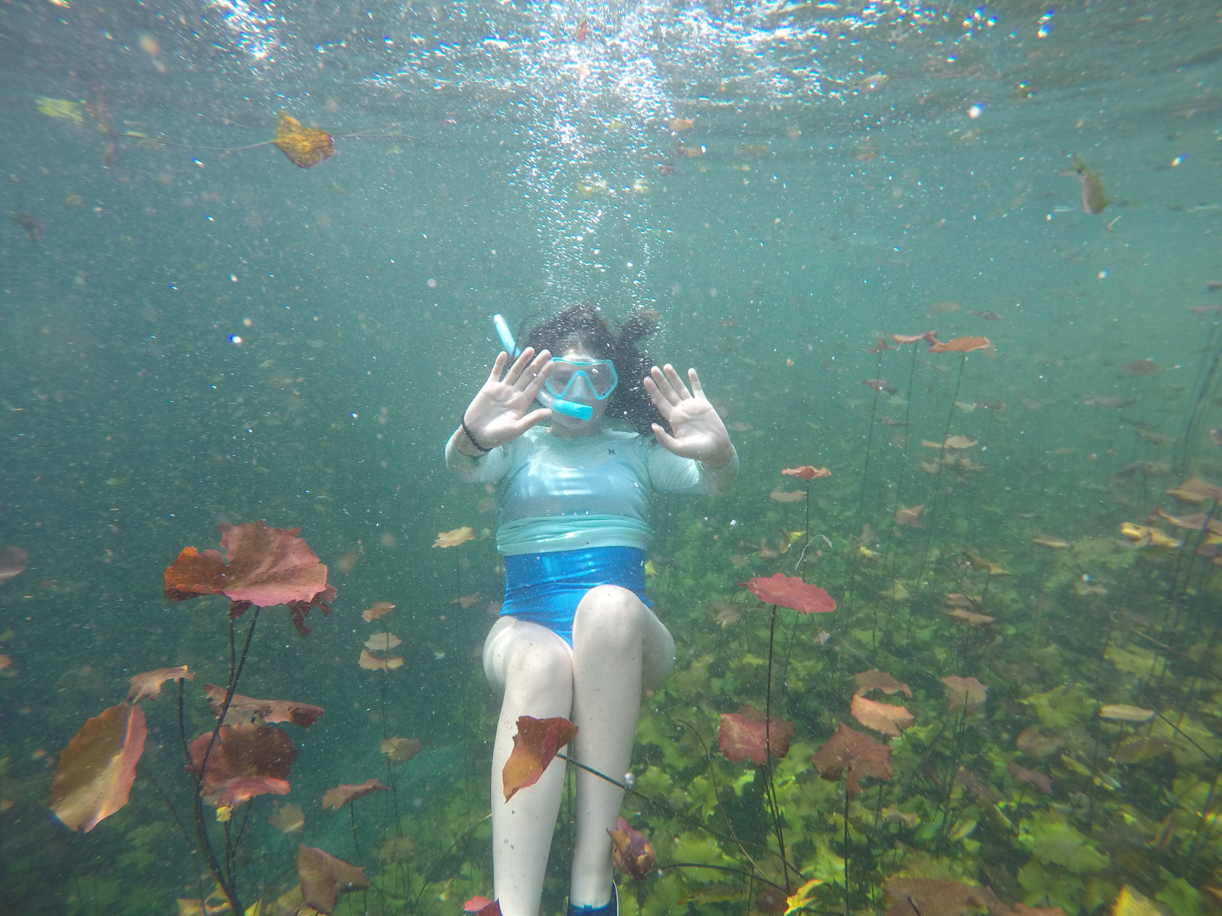 snorkel