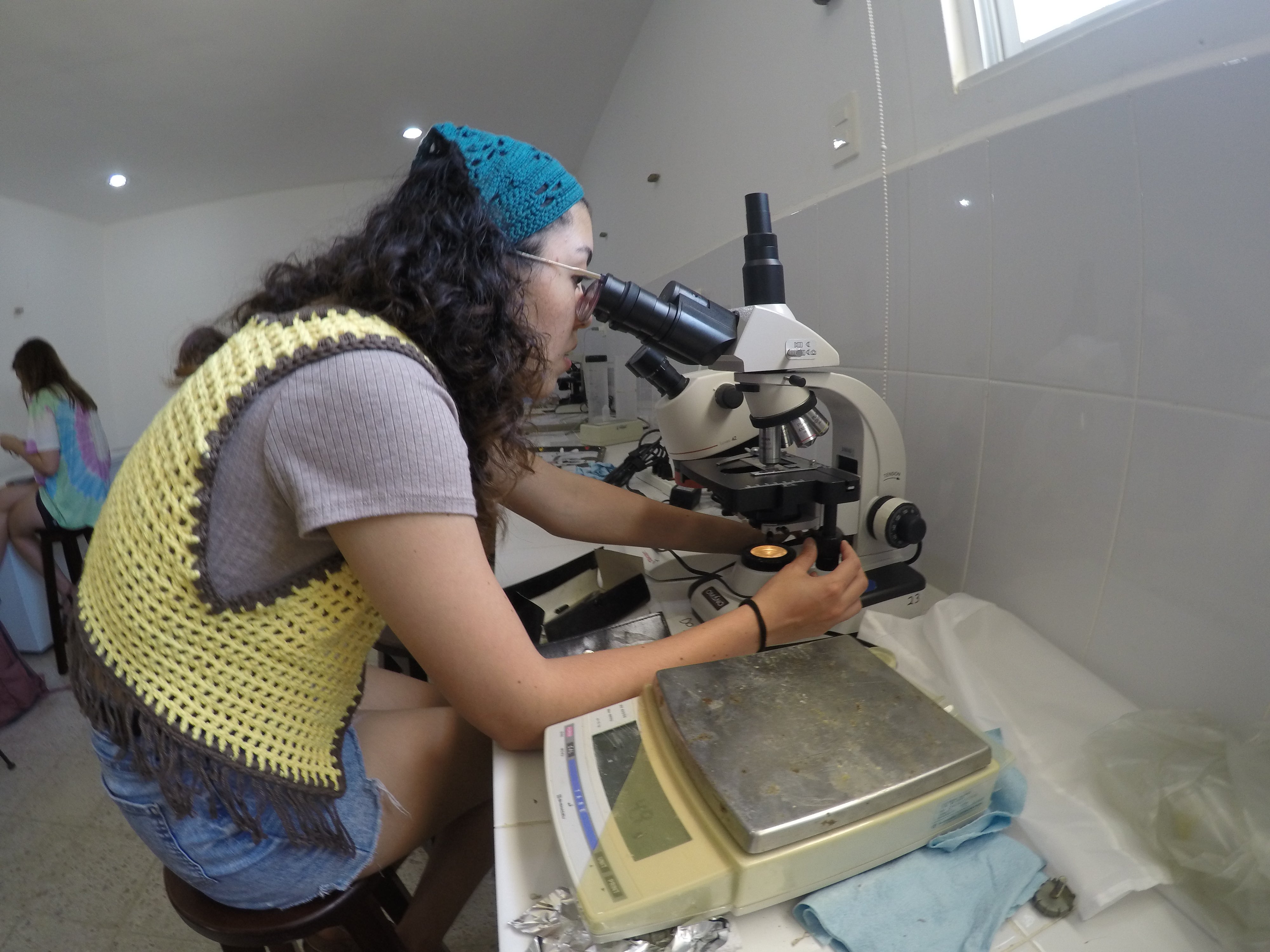microscope